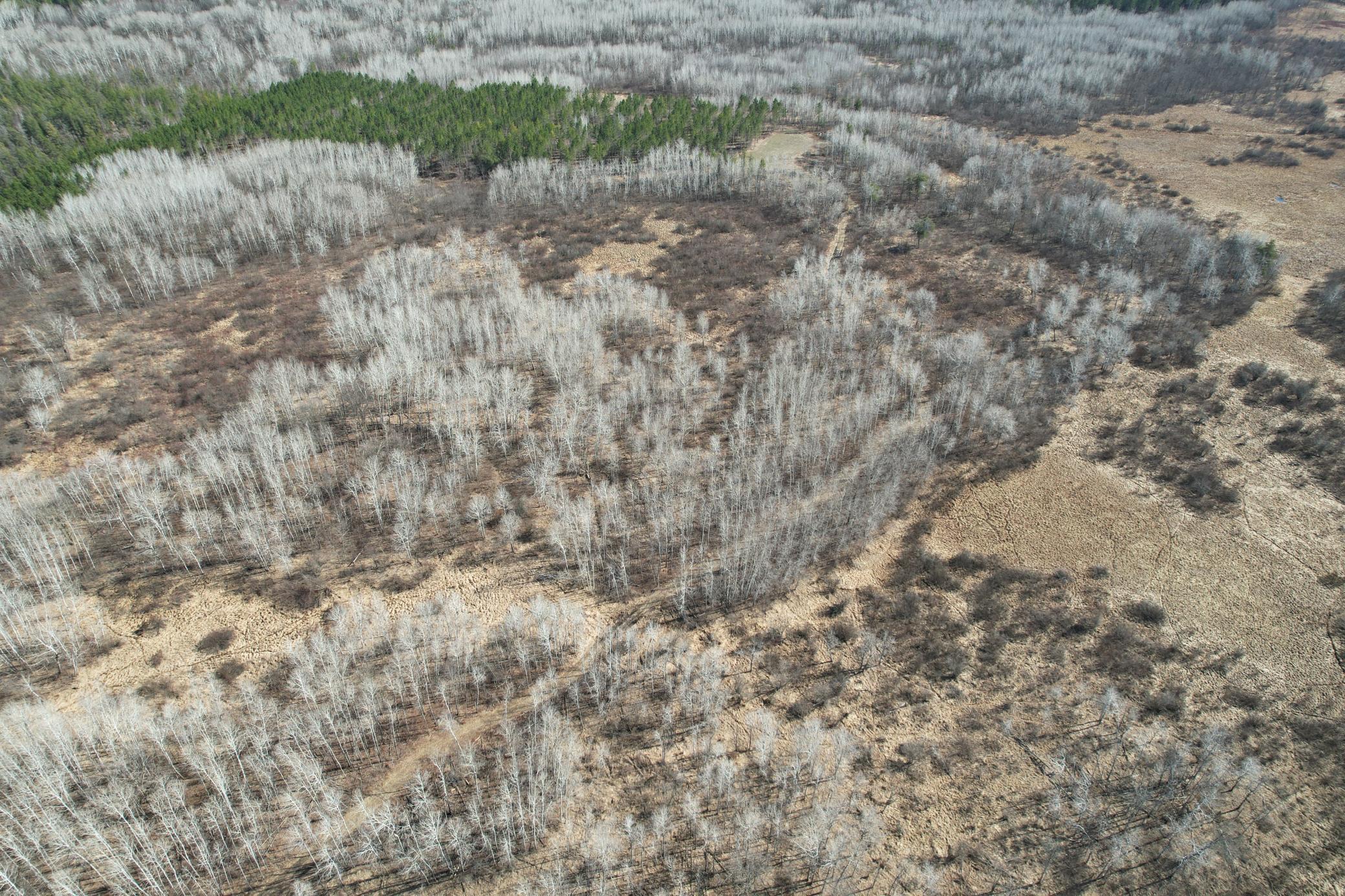 TBD Anderson Crossing Road