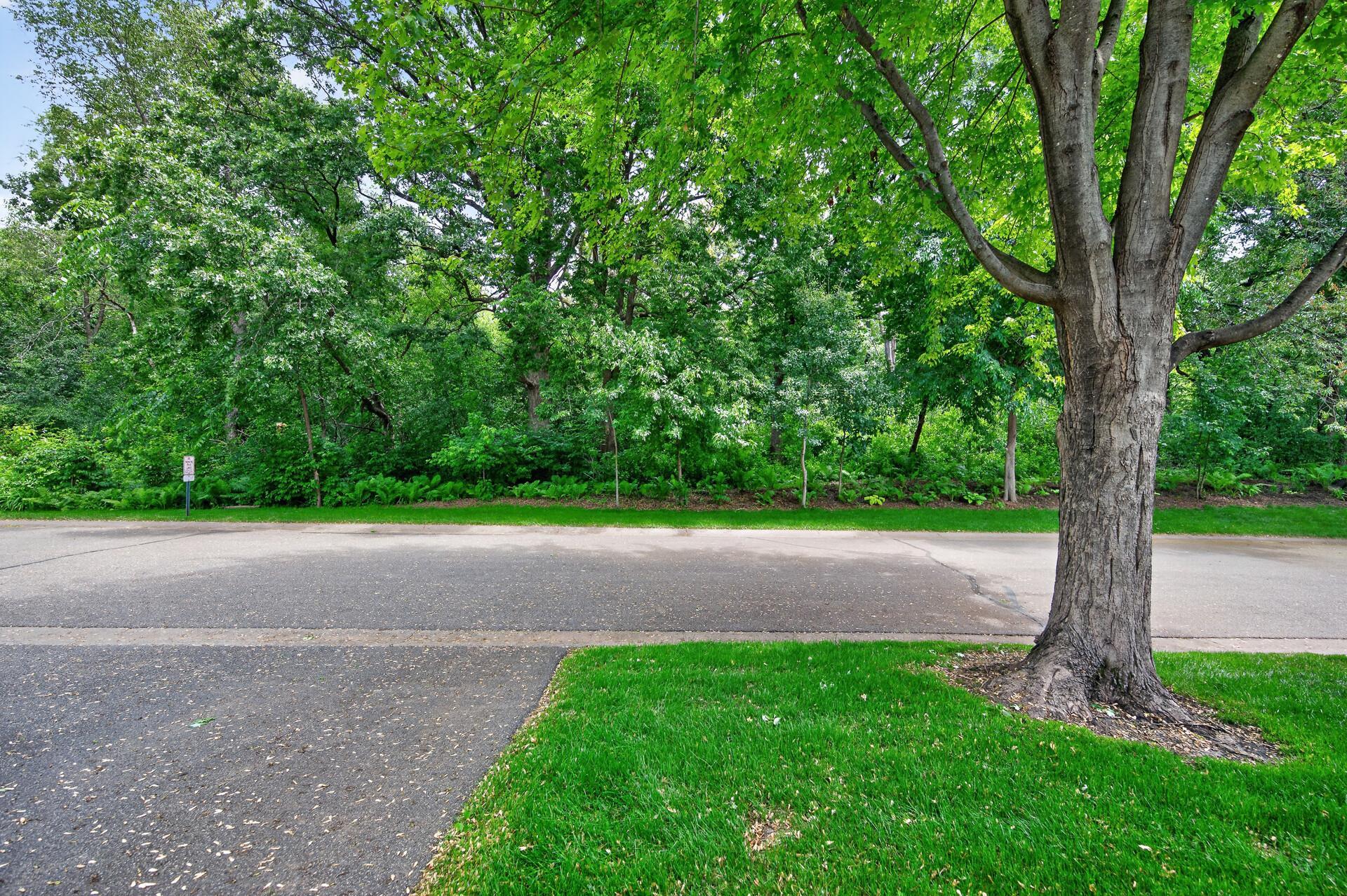 401 Leeward Trail