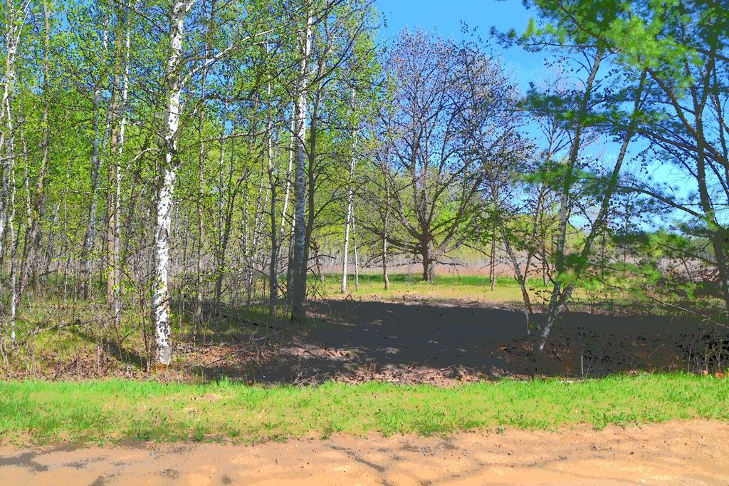 Photo of TBD Poplar Lane, Browerville, MN 56438 (MLS # 7034492)