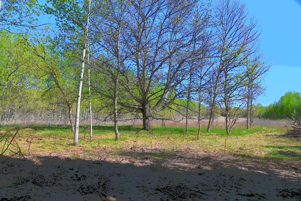 Photo of TBD Poplar Lane, Browerville, MN 56438 (MLS # 7034492)