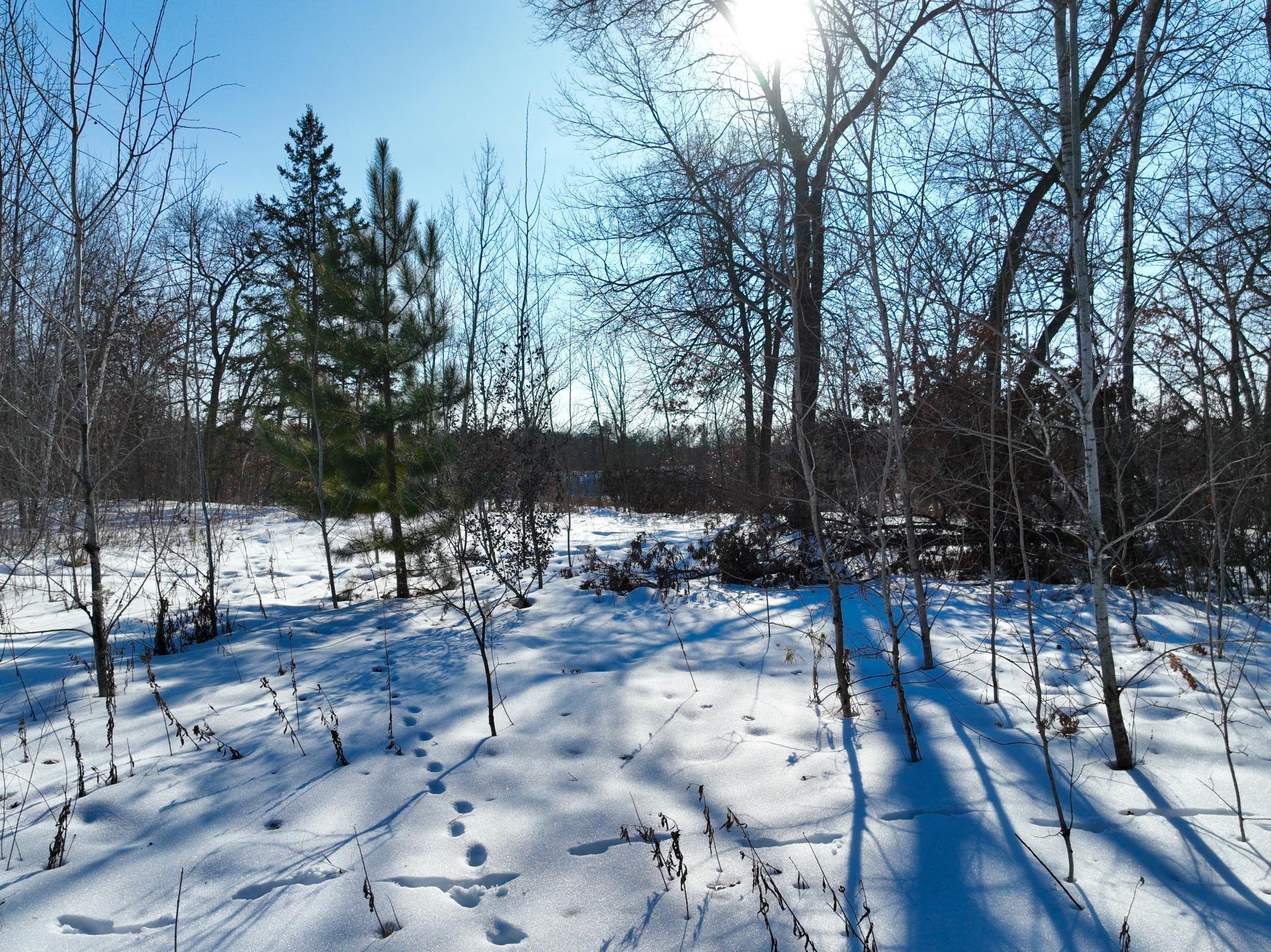 13995 Briarwood Drive