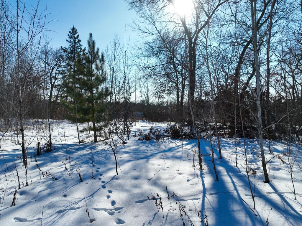 Photo of 13995 Briarwood Drive, Menahga, MN 56464 (MLS # 7021427)