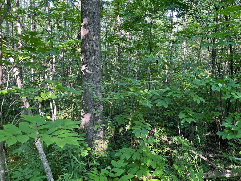 Photo of 000 Beroun Crossing Rd, Brook Park, MN 55007 (MLS # 7123967)