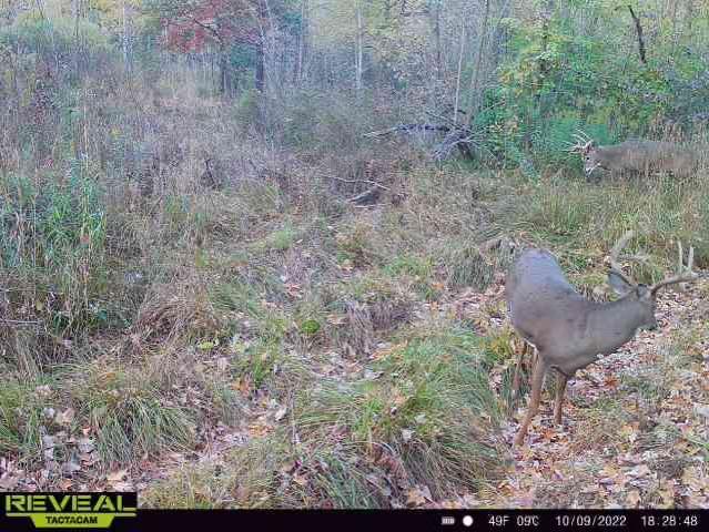 Photo of 000 Beroun Crossing Rd, Brook Park, MN 55007 (MLS # 7123967)
