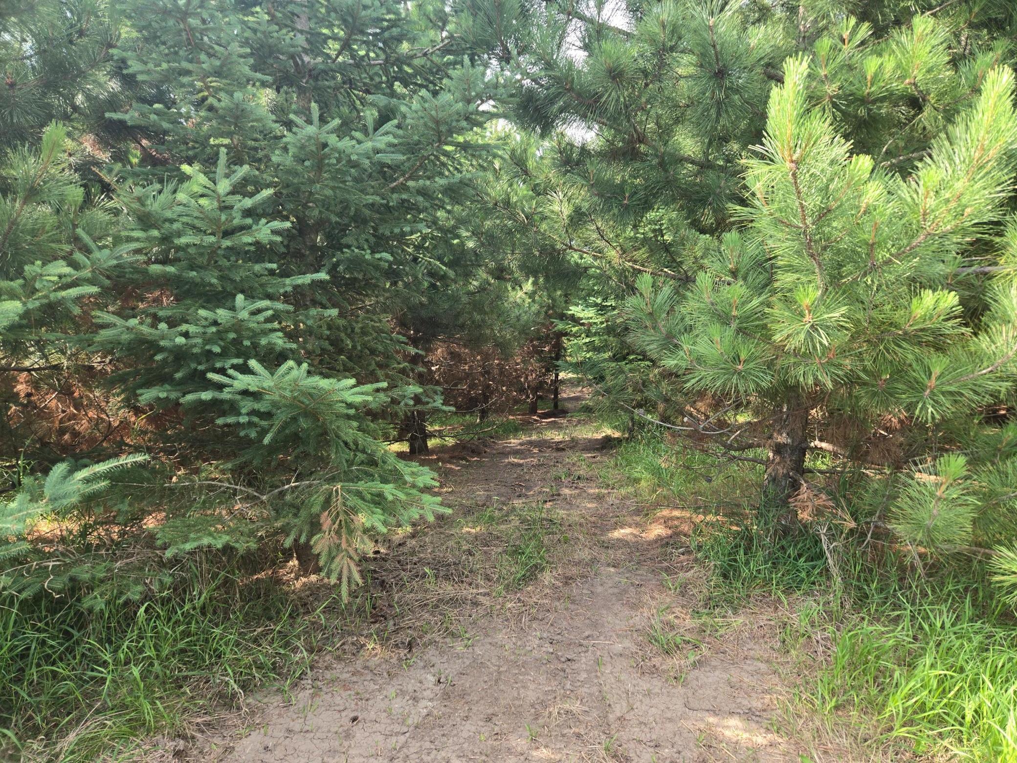 20332 County Highway 25