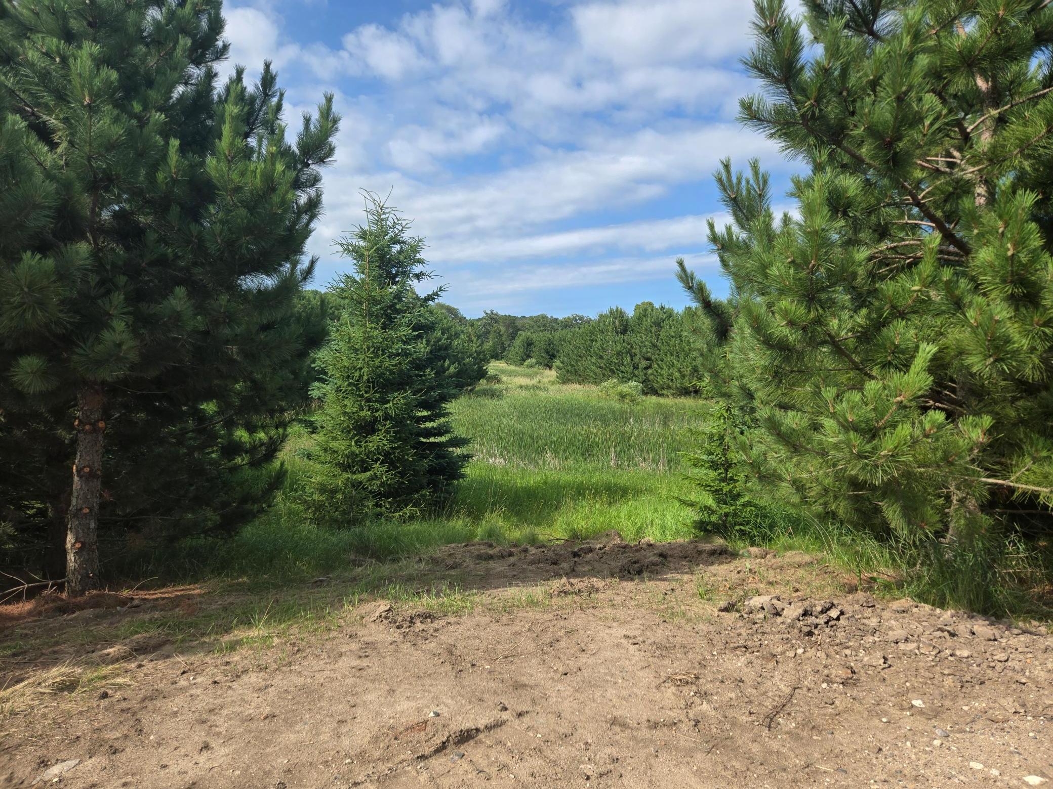 20332 County Highway 25