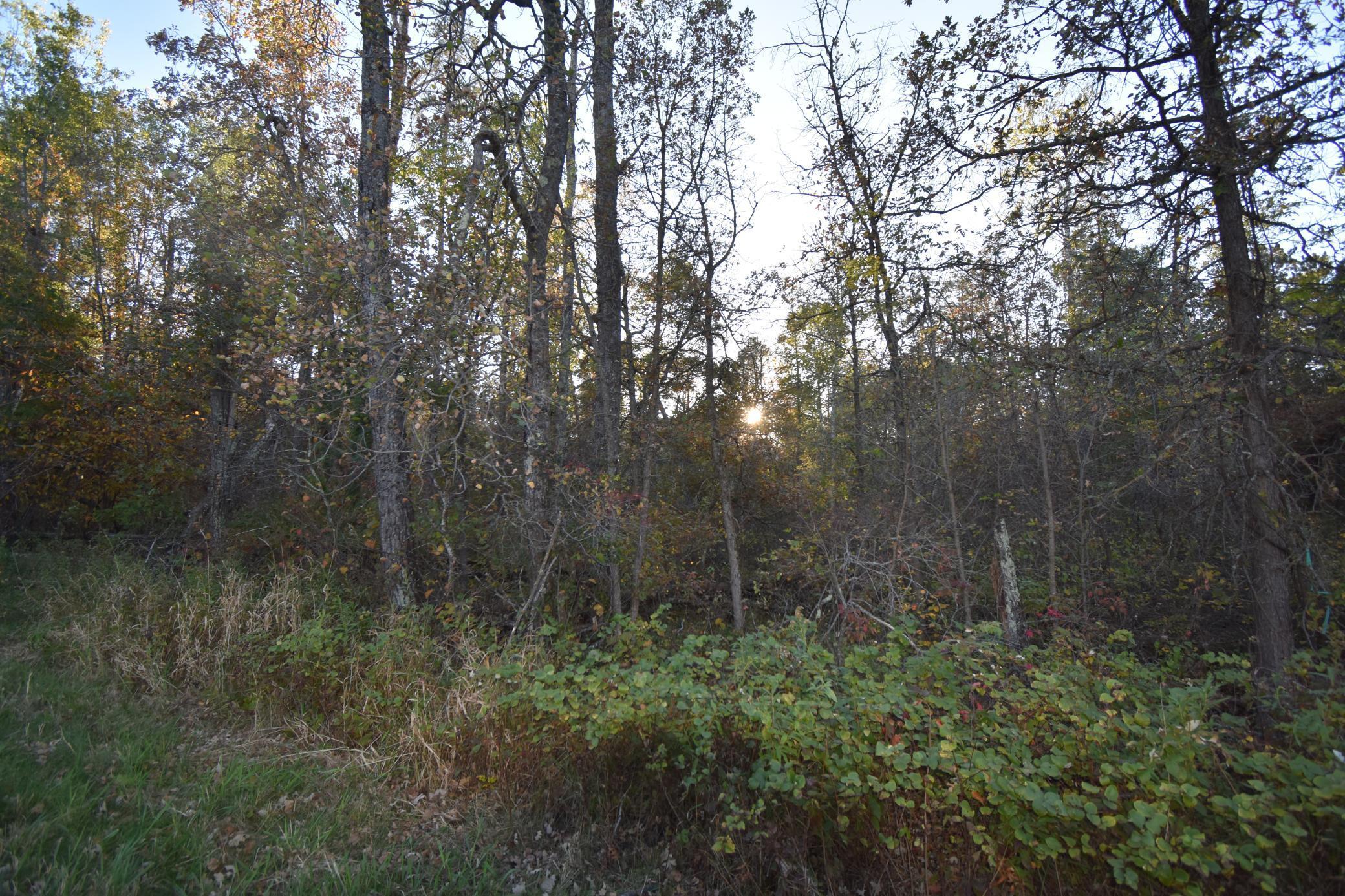 TBD Ranchette Drive