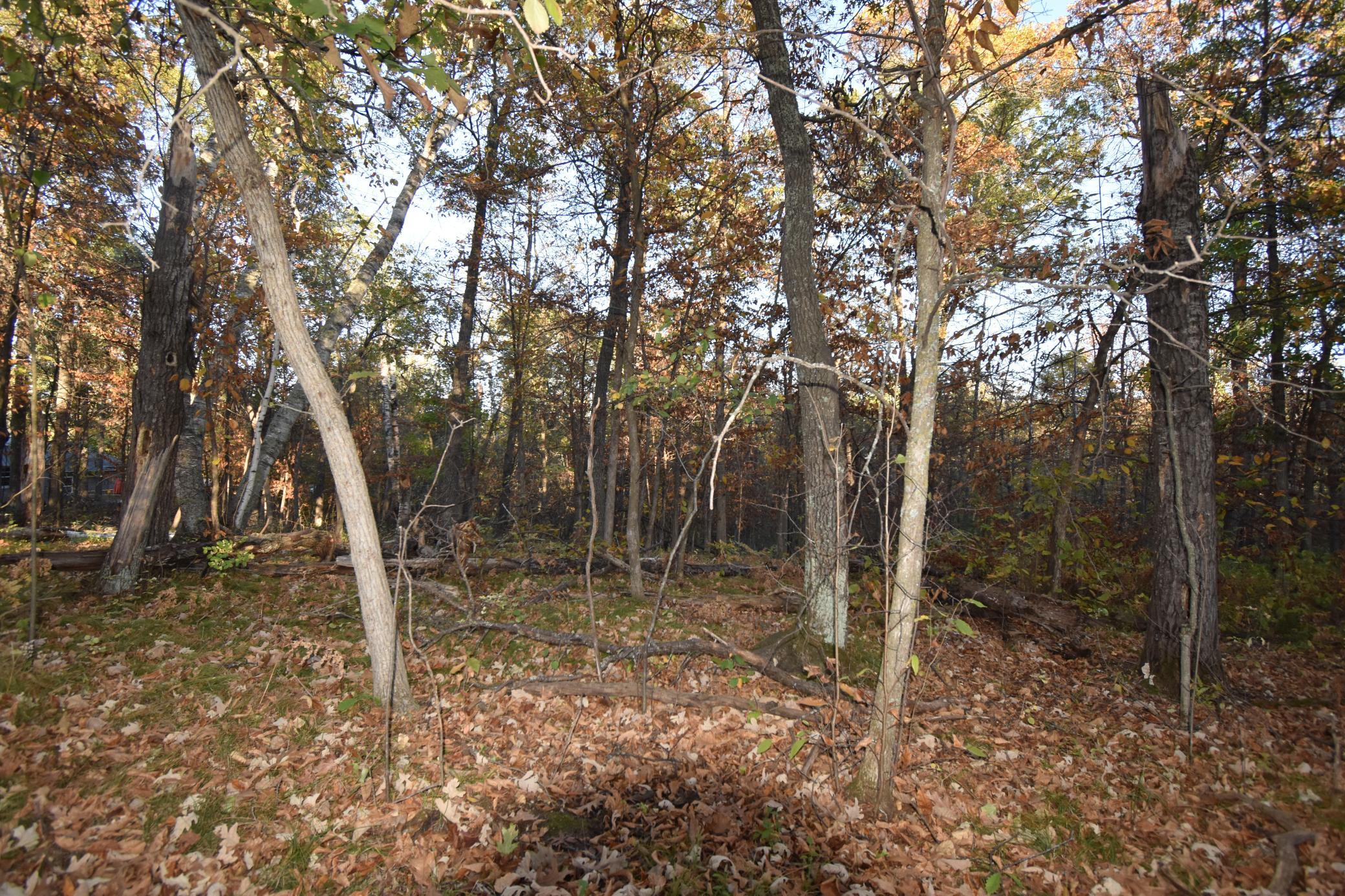 TBD Ranchette Drive