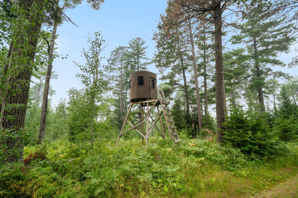 Photo of 6701 Koski Road, Tower, MN 55790 (MLS # 7107898)