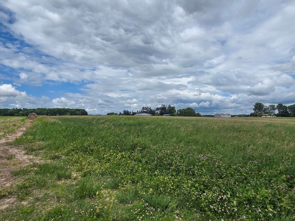 Photo of 2116 8th Street, Cumberland, WI 54829 (MLS # 7093813)