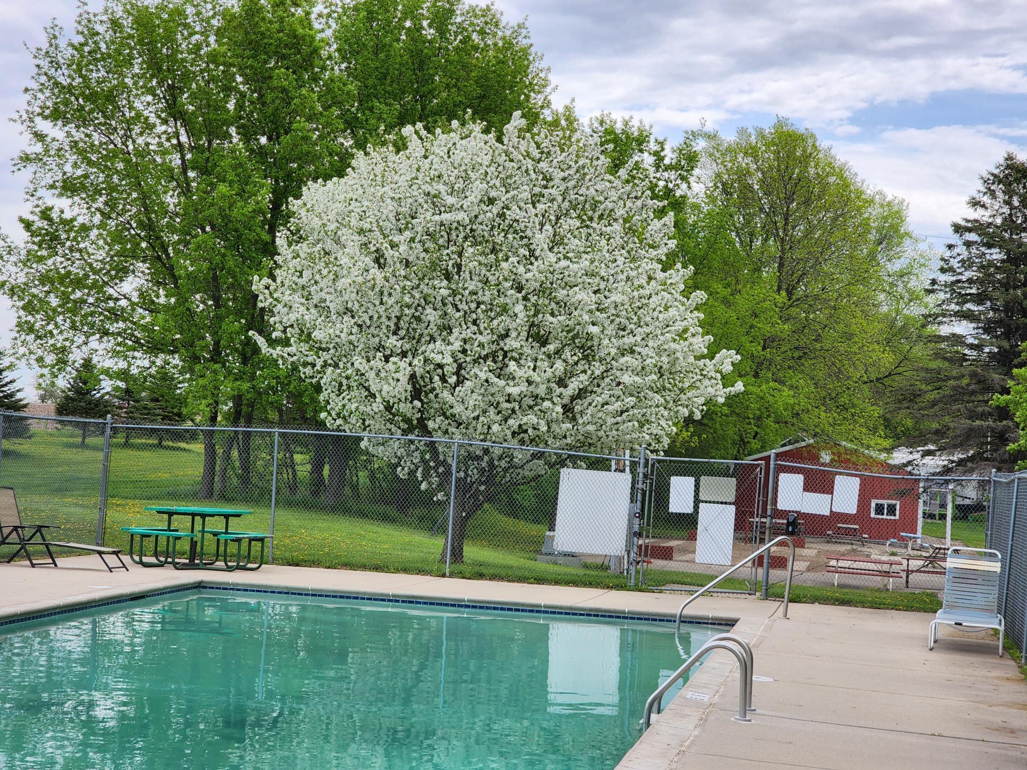 2945 County Road 4 SW 321