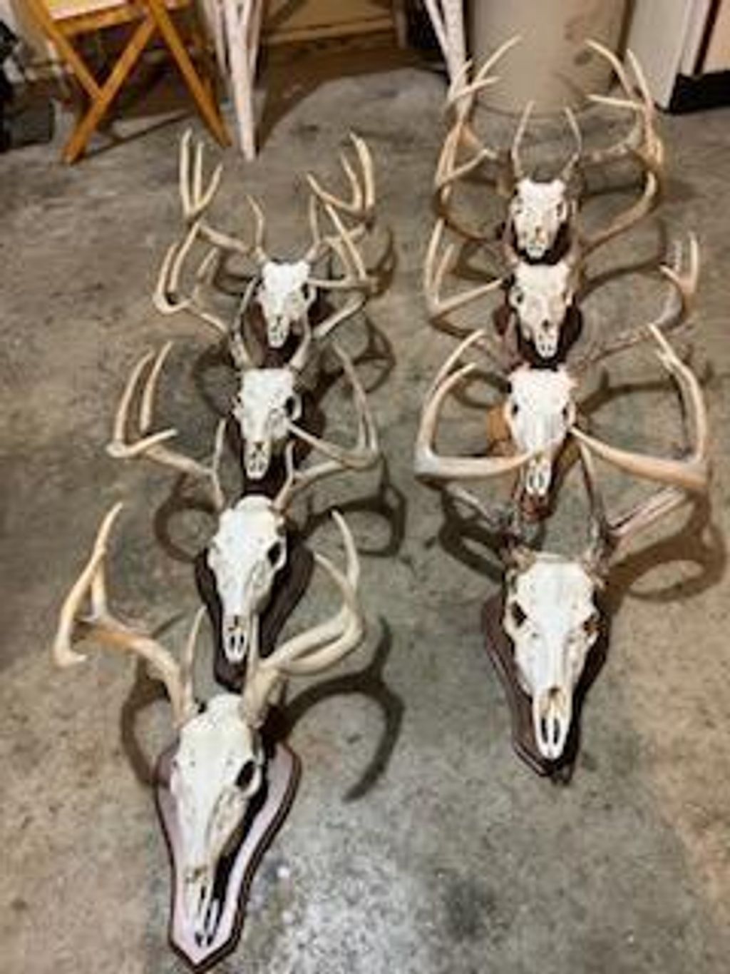 Photo of na na, Albert Lea, MN 56007 (MLS # 7001734)