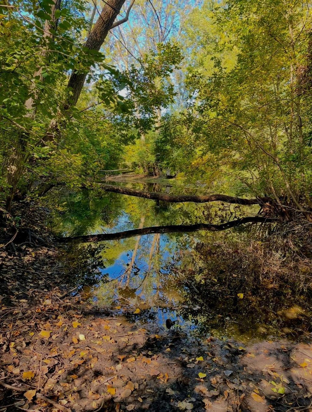 Photo of na na, Albert Lea, MN 56007 (MLS # 7001734)