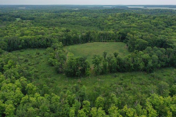 N COTTON LAKE RD, ROCHERT, MN 56578 - Image 93e5cd85deee5ff8d8f2cdbedfa5cdc4/118196397