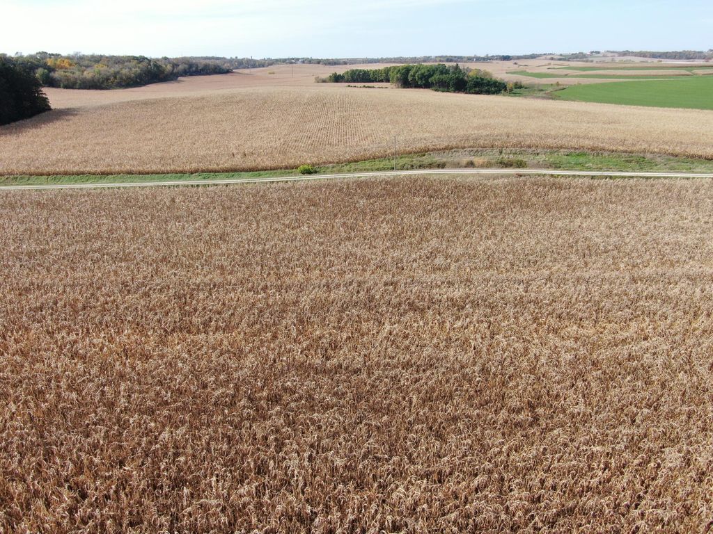 Photo of TBD County Road 19, Lanesboro, MN 55949 (MLS # 7001415)