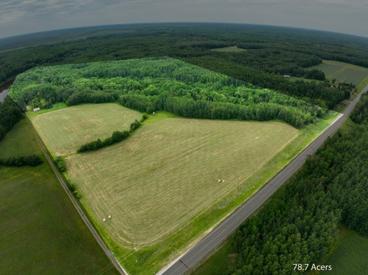 ADDRESS PRIVATE, LITTLEFORK, MN 56653 - Image 9447d14052dfe98f06fb5ab64b0eec6c/301115671