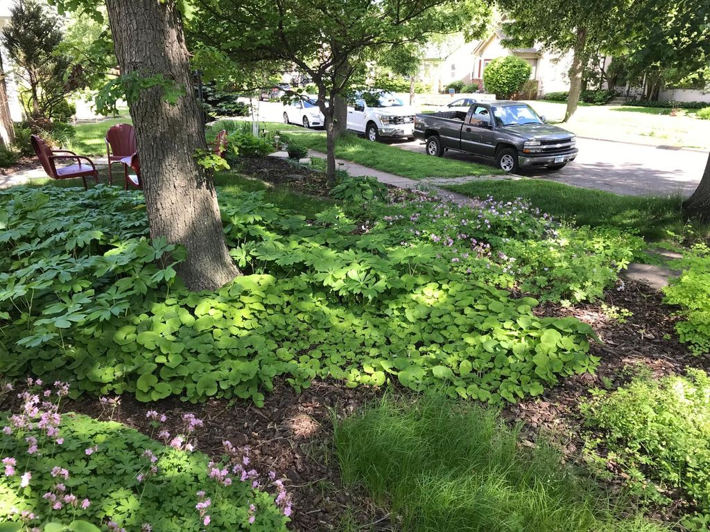 Photo of 1875 Juliet Avenue, Saint Paul, MN 55105 (MLS # 6764180)