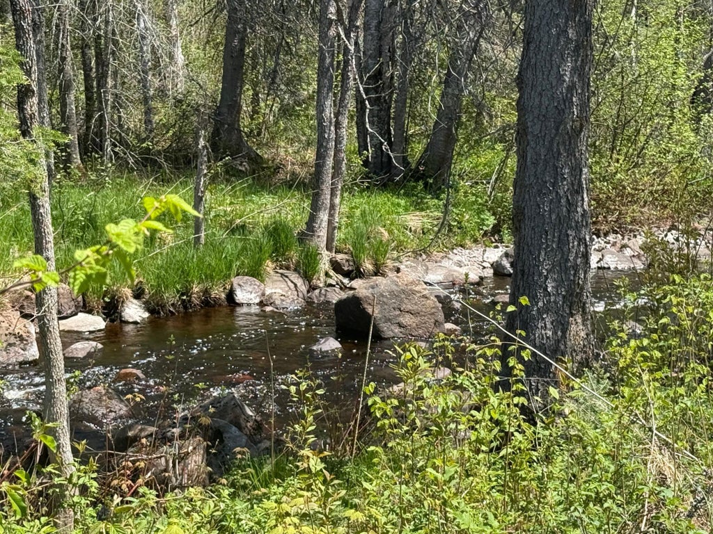 Photo of TBD Crown Creek Spur Rd, Finland, MN 55603 (MLS # 7085778)