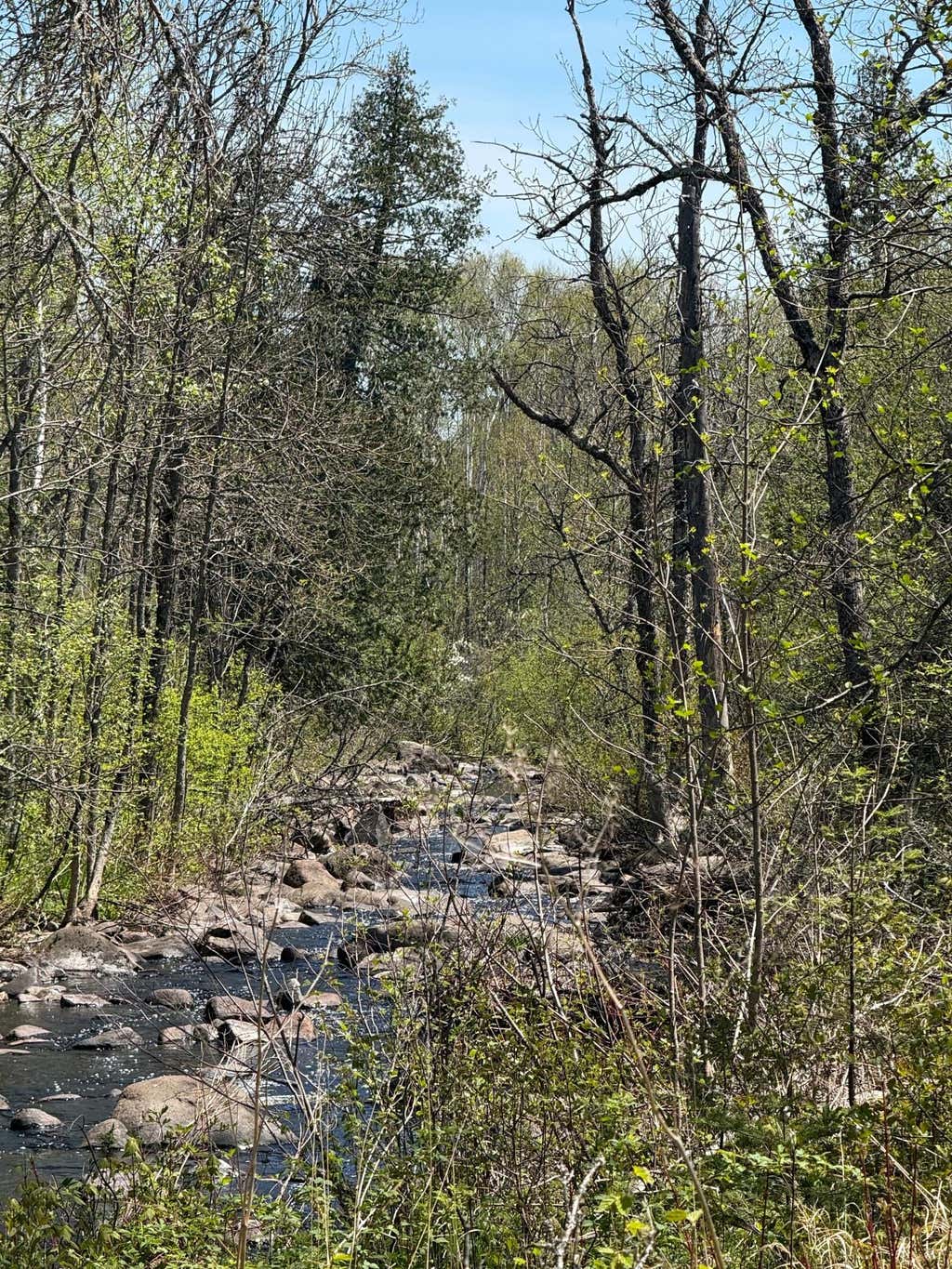 Photo of TBD Crown Creek Spur Rd, Finland, MN 55603 (MLS # 7085778)