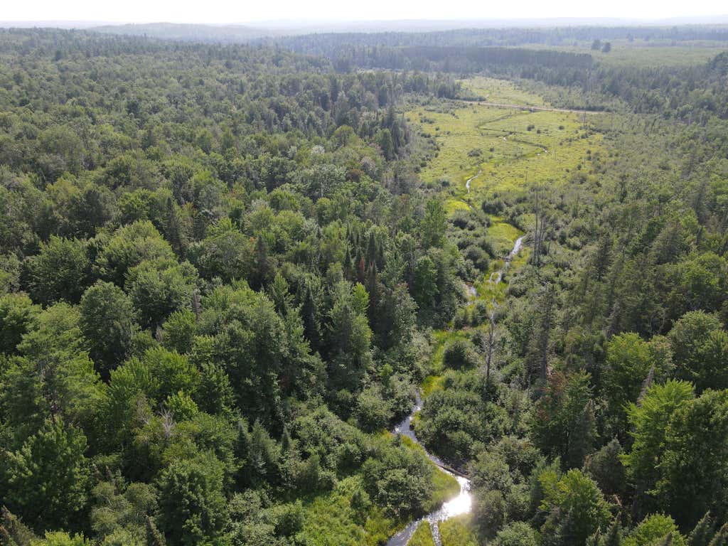 Photo of LOT 2 Smith Road, Couderay, WI 54828 (MLS # 7128286)