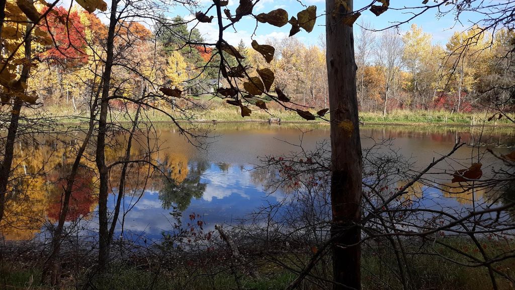 Photo of xxx Oriole Court, Browerville, MN 56438 (MLS # 7019654)