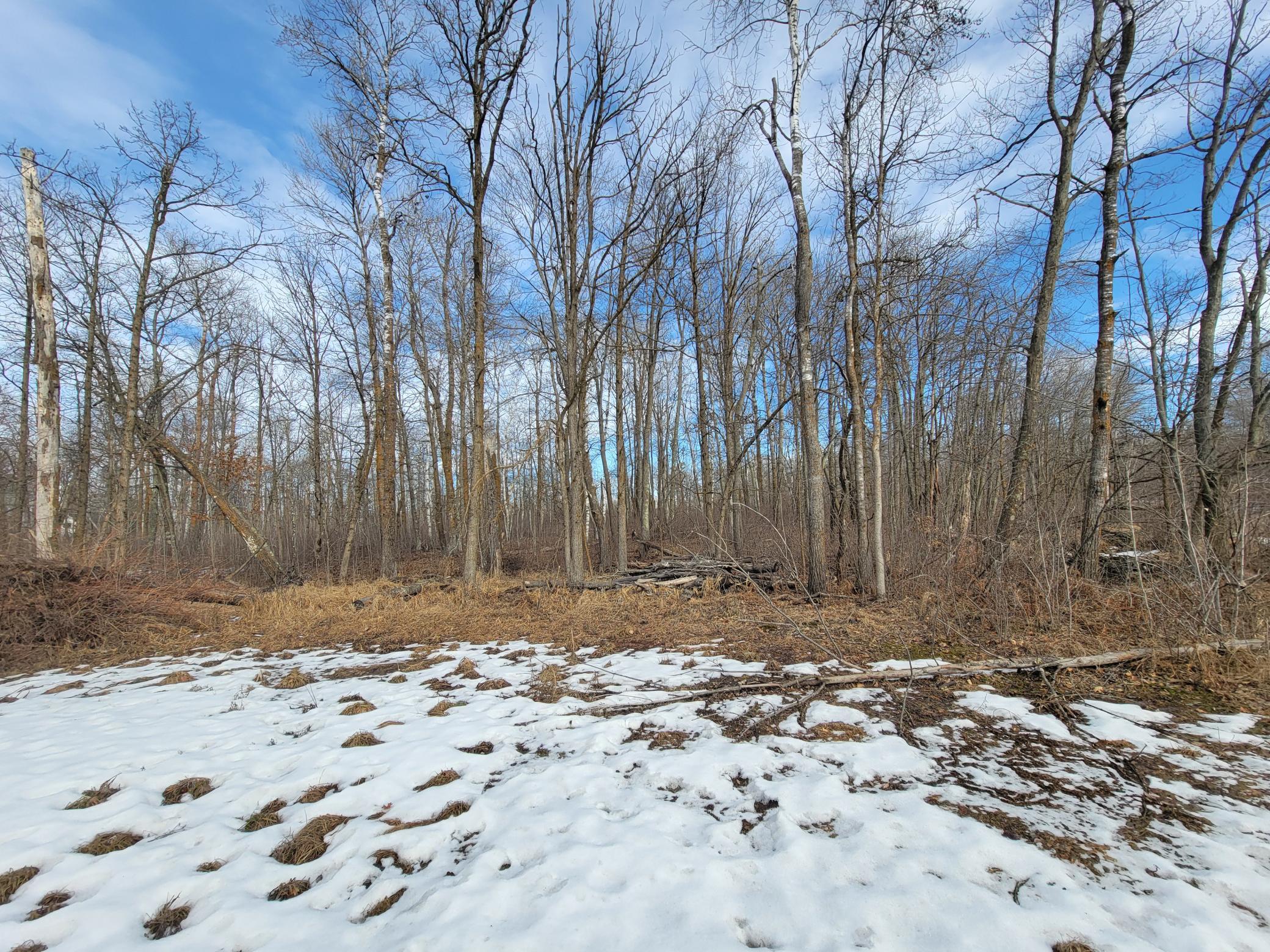 TBD XXXX Black Bear Drive SW