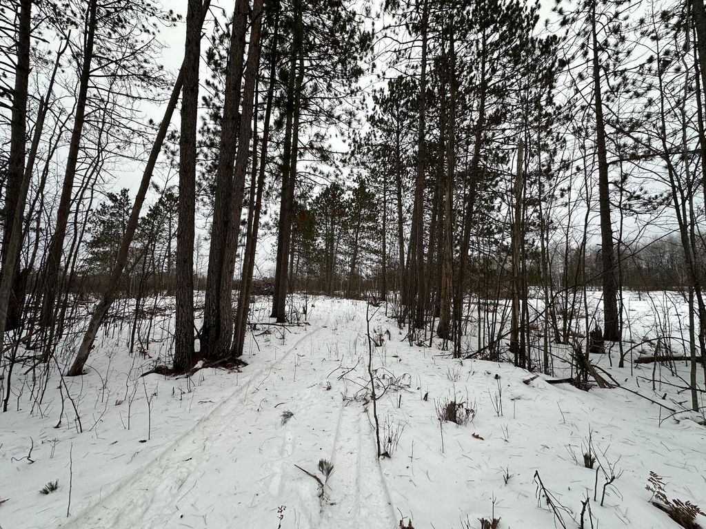 Photo of TBD #1 Koecher Road, Kerrick Twp, MN 55756 (MLS # 7002694)
