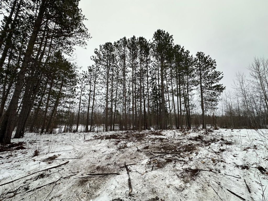 Photo of TBD #1 Koecher Road, Kerrick Twp, MN 55756 (MLS # 7002694)