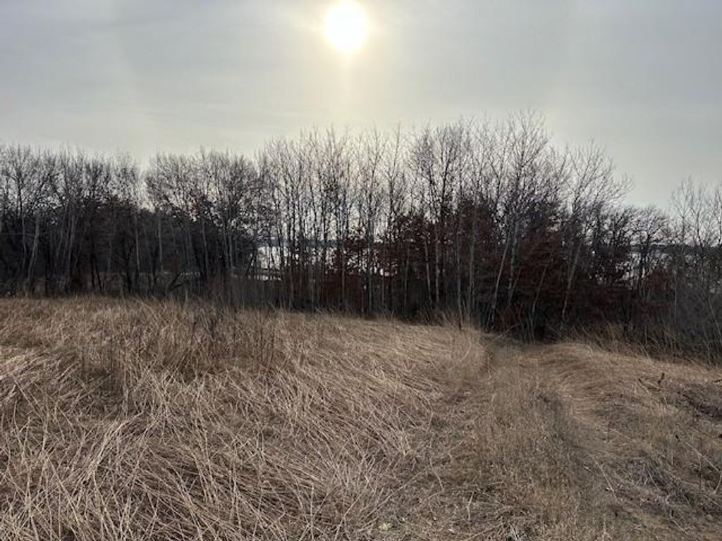 Photo of XXXX 273rd Ave NW, Livonia Twp, MN 55330 (MLS # 6647596)