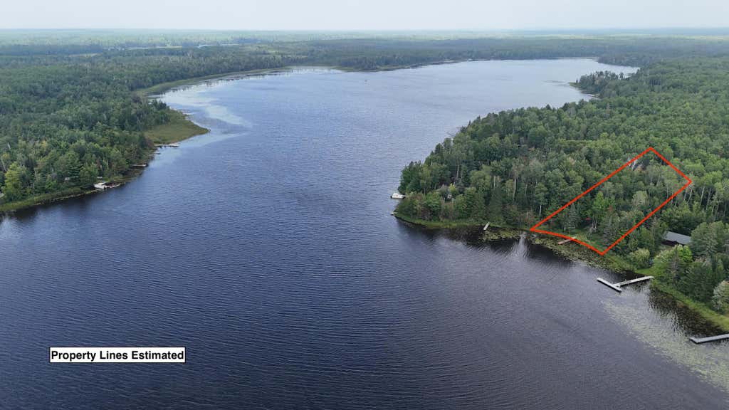 Photo of 4XXX Linwood Shores Road, Makinen, MN 55736 (MLS # 7129562)