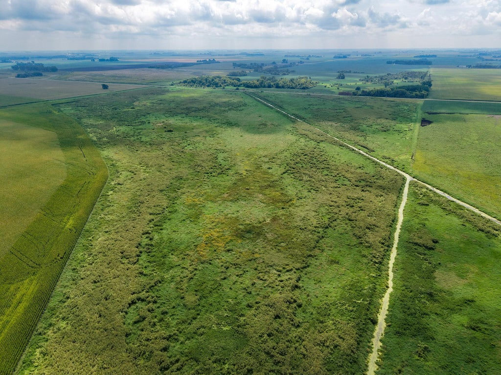 Photo of TBD 110th Avenue, Claremont, MN 55924 (MLS # 7135452)