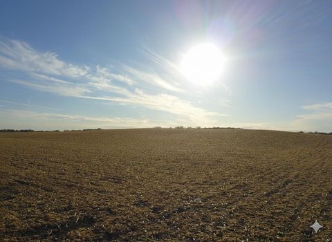 Photo of TBD 708th Avenue, Emmons, MN 56029 (MLS # 6811367)