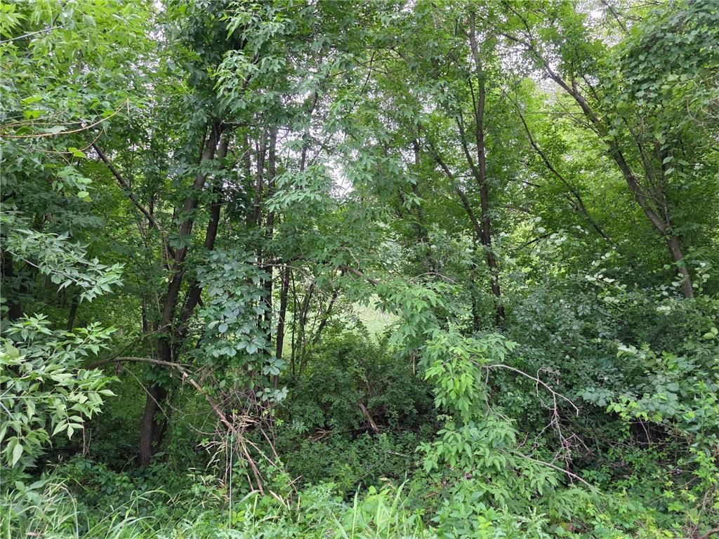 Photo of TBD Michigan Avenue, Crosby, MN 56441 (MLS # 6826118)