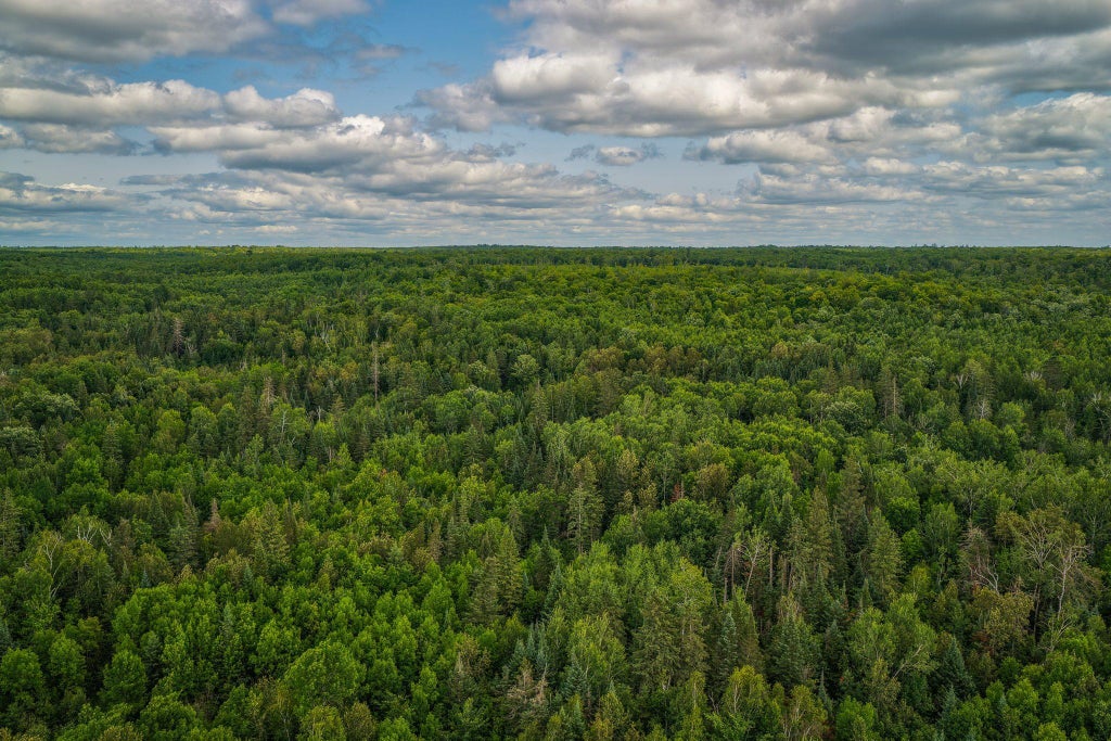 Photo of TBD 219th Avenue, Bemidji, MN 56601 (MLS # 7115730)