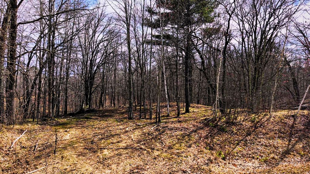 Photo of TBD 100 Street NW, Laporte, MN 56461 (MLS # 7059167)