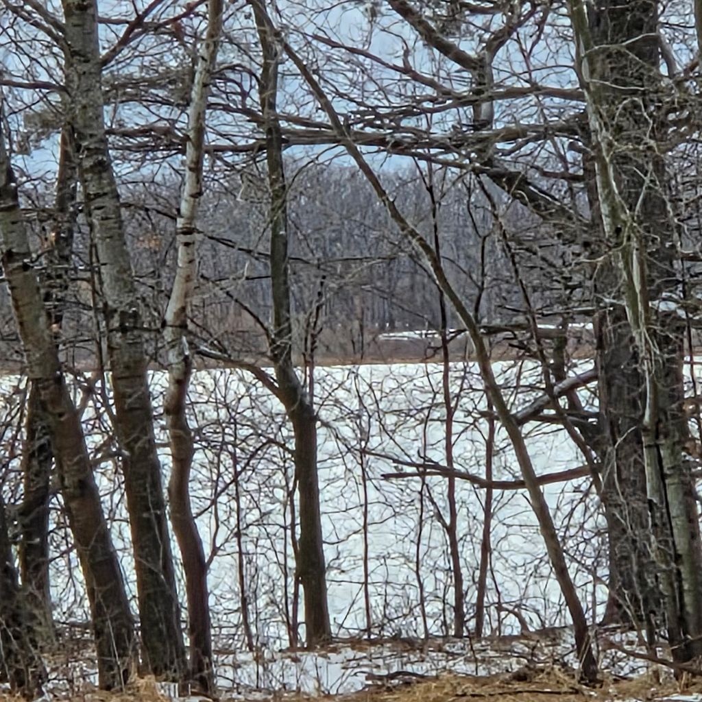 Photo of 1327 Mahogany Street, Braham, MN 55006 (MLS # 7049012)