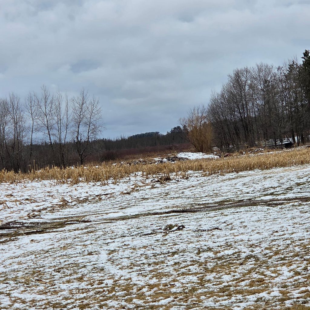 Photo of 1327 Mahogany Street, Braham, MN 55006 (MLS # 7049012)