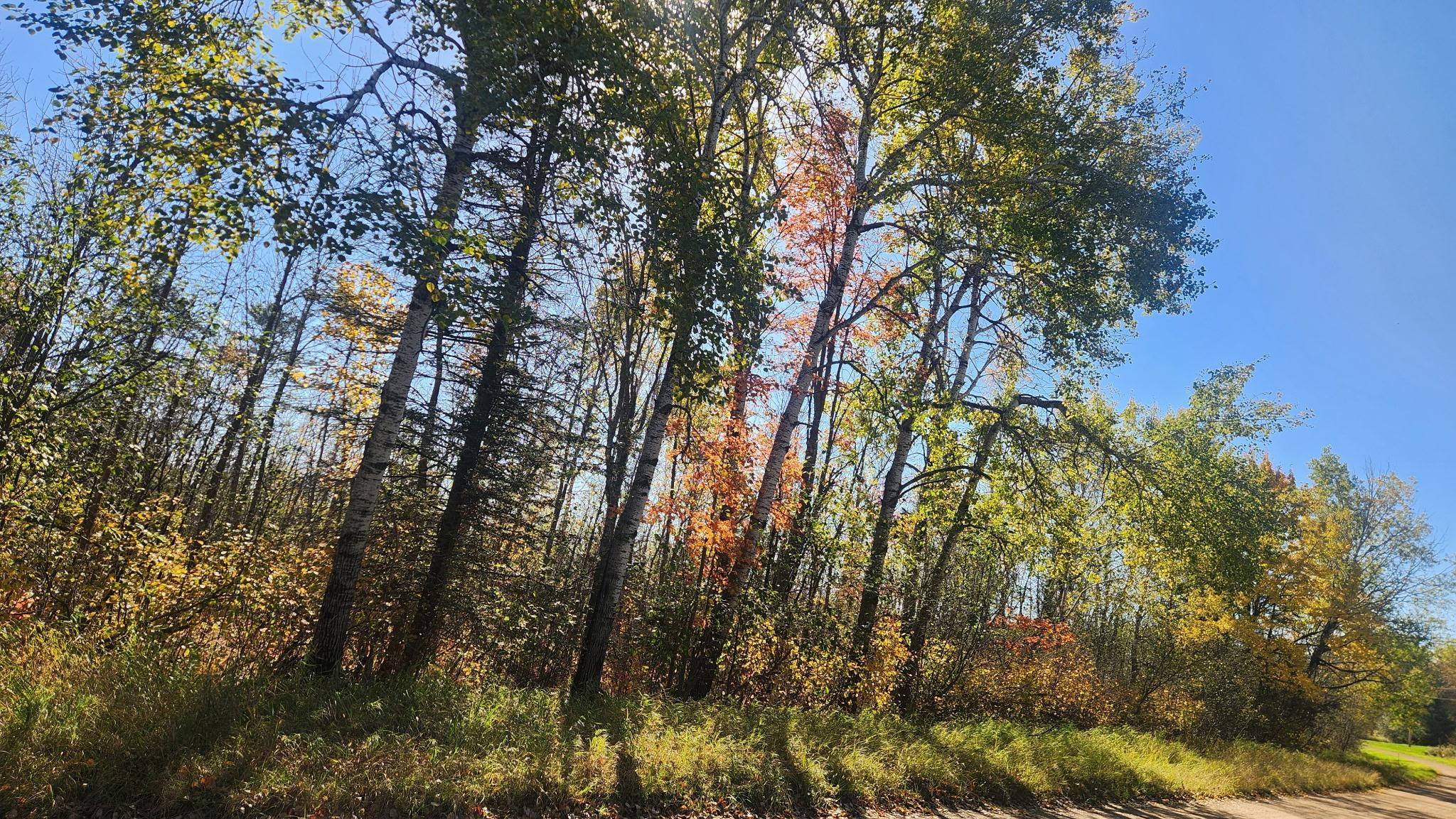 TBD County Road 55 Road NE