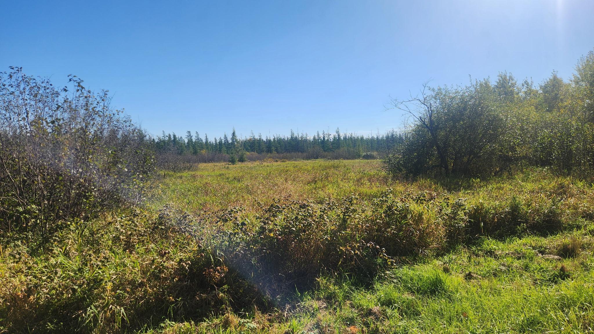 TBD County Road 55 Road NE