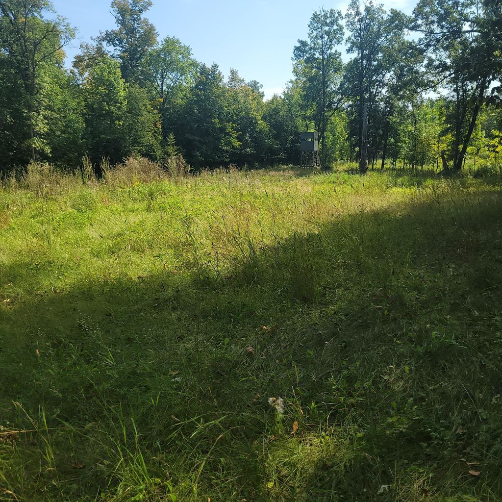 Photo of TBD Jeff Lake Road, Richville, MN 56576 (MLS # 7080106)