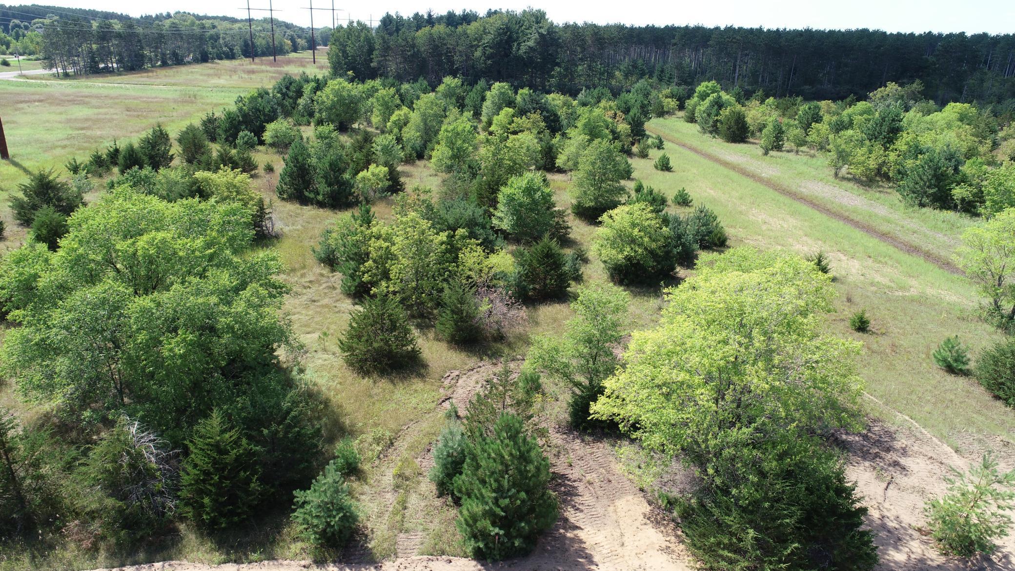 DJI_0049.JPG