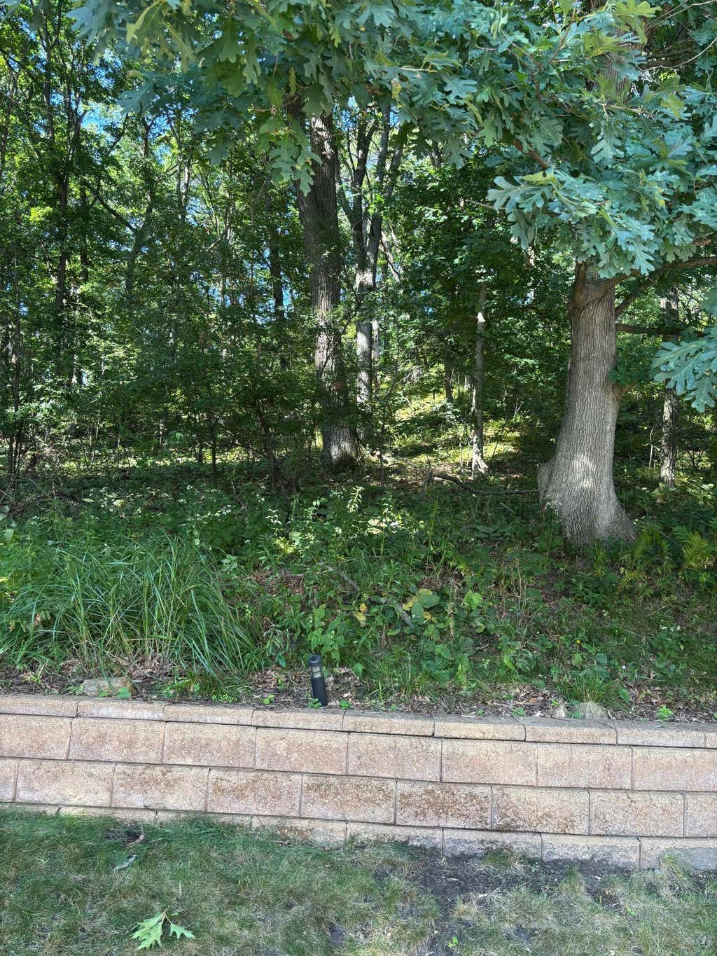 Photo of 2978 W Princeton Avenue, Eau Claire, WI 54703 (MLS # 7132363)