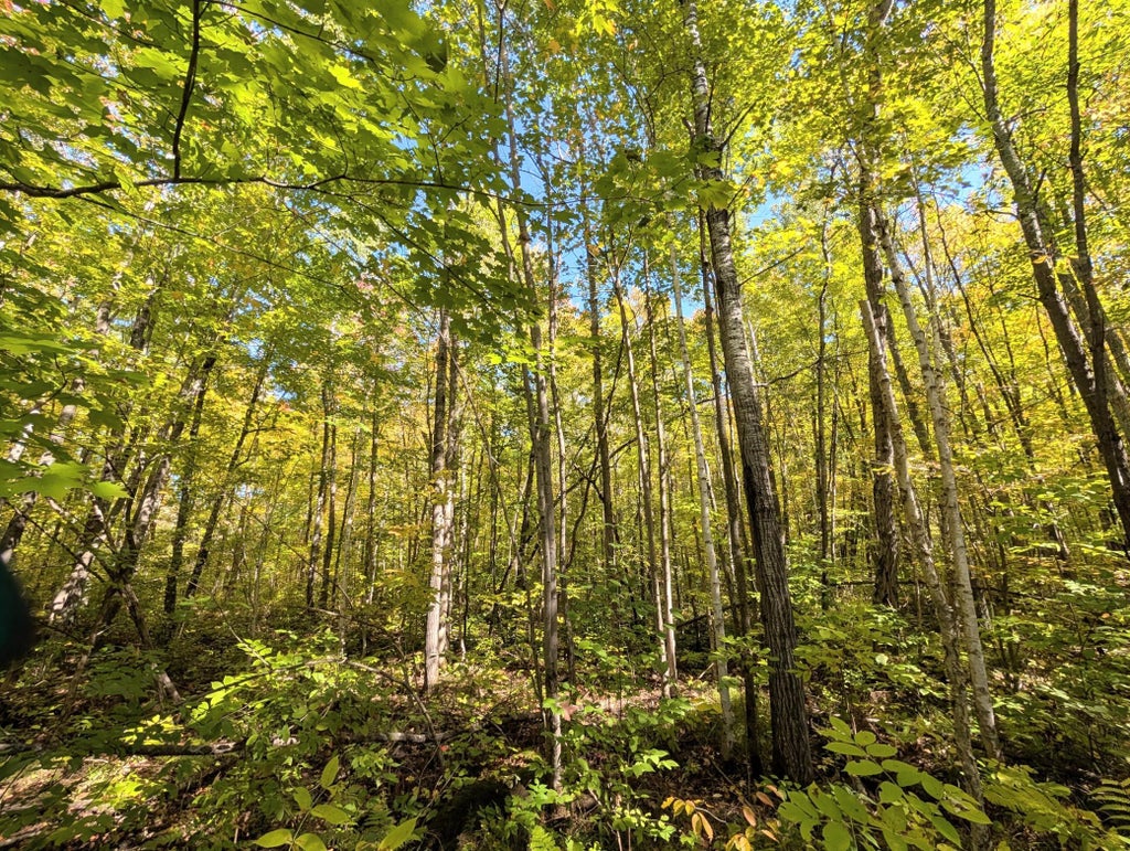 Photo of TBD Hwy B, Hunter Twp, WI 54843 (MLS # 7147440)