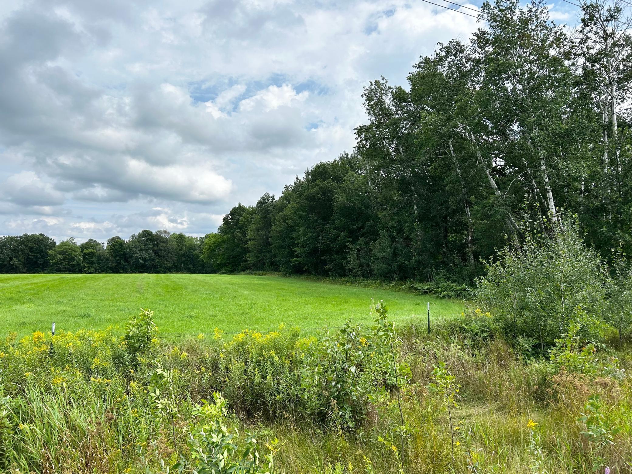 TBD 37th Avenue SW