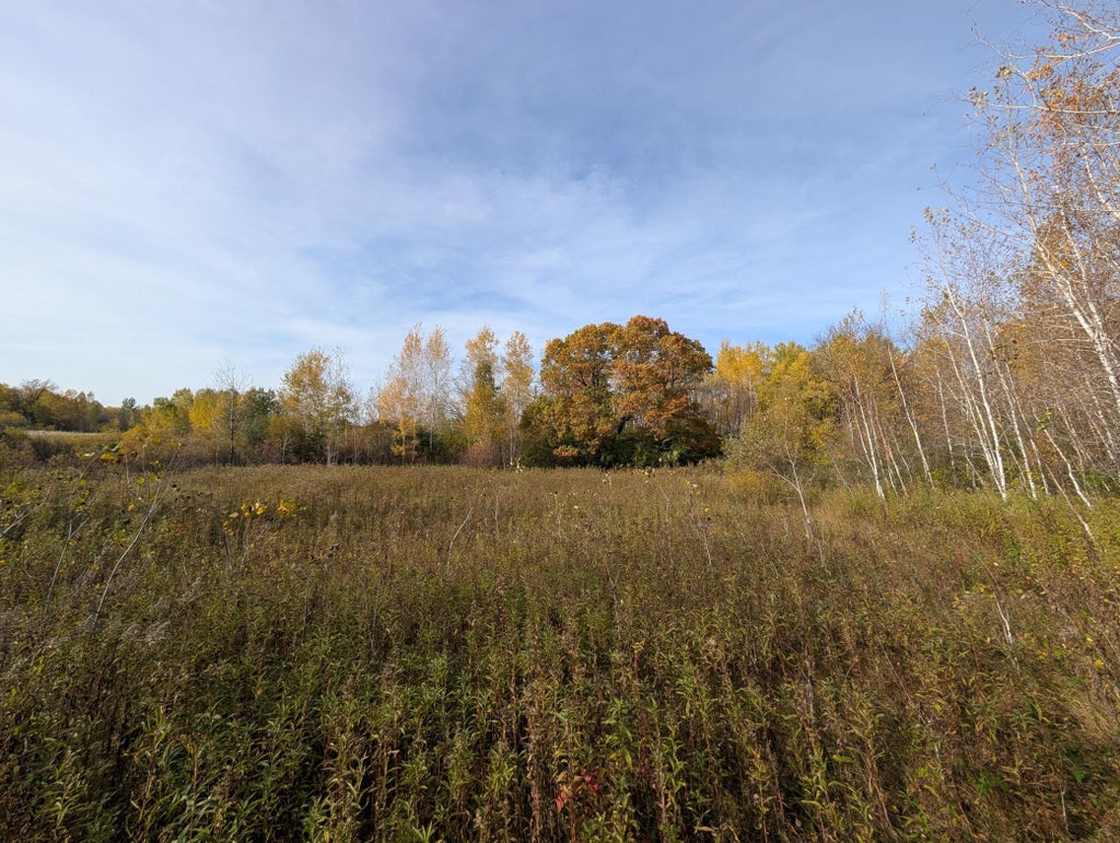 Photo of TBD 90th Avenue, Milaca, MN 56353 (MLS # 7163932)