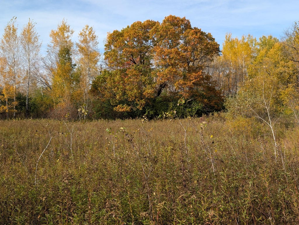 Photo of TBD 90th Avenue, Milaca, MN 56353 (MLS # 7163932)