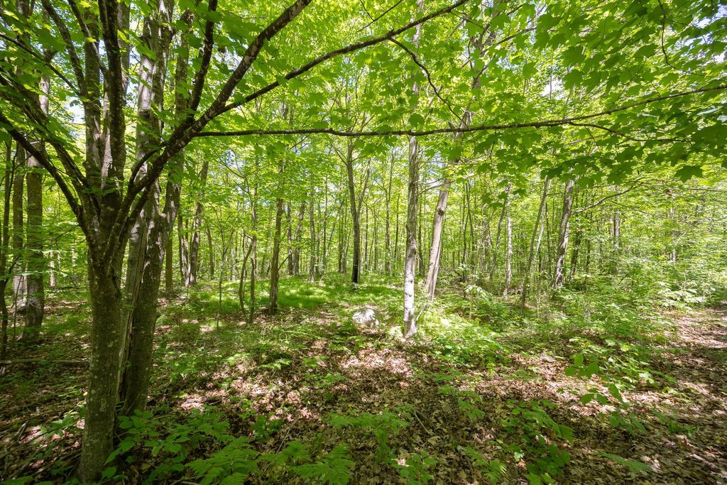 Photo of TBD Island View Drive NE, Longville, MN 56655 (MLS # 7096925)