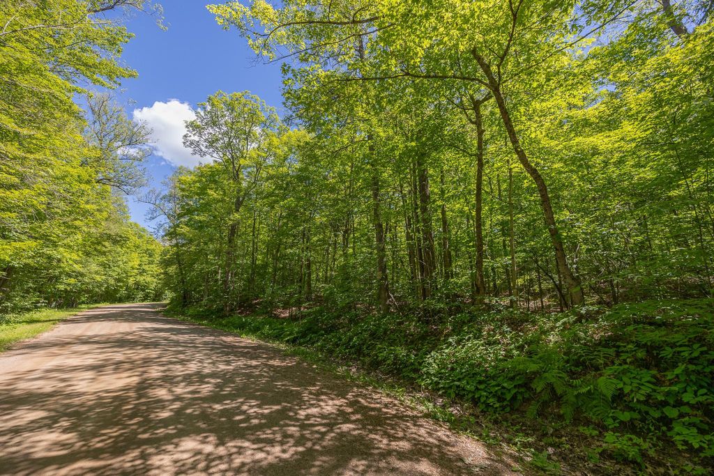 Photo of TBD Island View Drive NE, Longville, MN 56655 (MLS # 7096925)