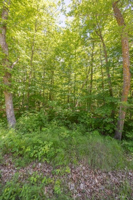 ISLAND VIEW DR NE, LONGVILLE, MN 56655 - Image 9aaeec65dc4946cd3a94de96fc6d8443/305730795