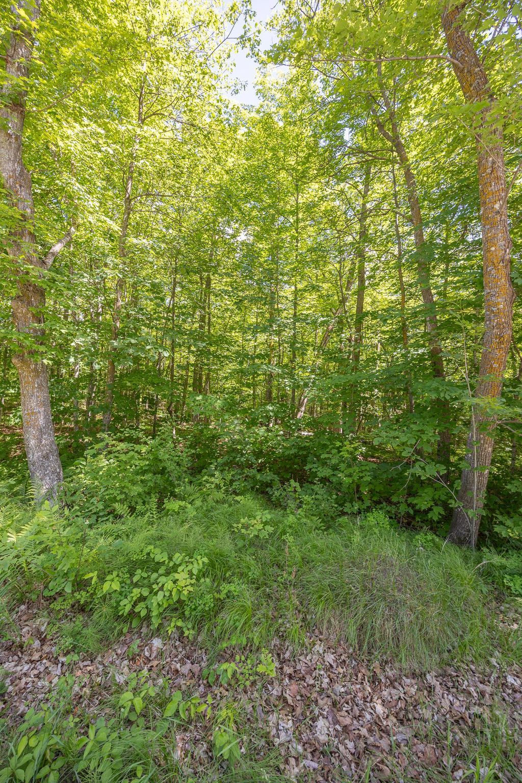 Photo of TBD Island View Drive NE, Longville, MN 56655 (MLS # 7096925)